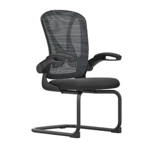 Infinity - Visitor Back